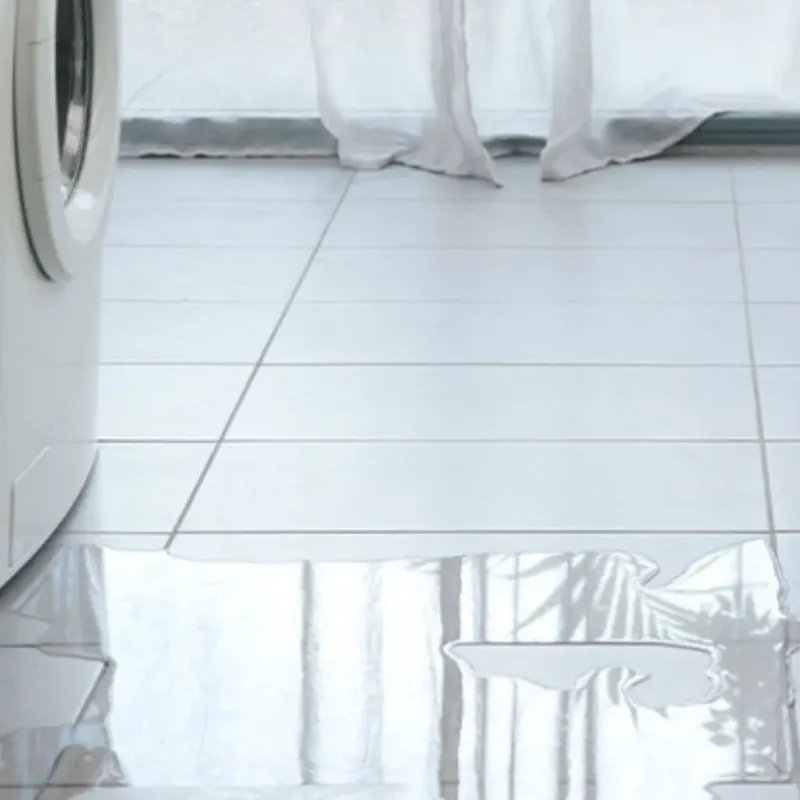 Appliance Leak Cleanup in San Augustine County, TX