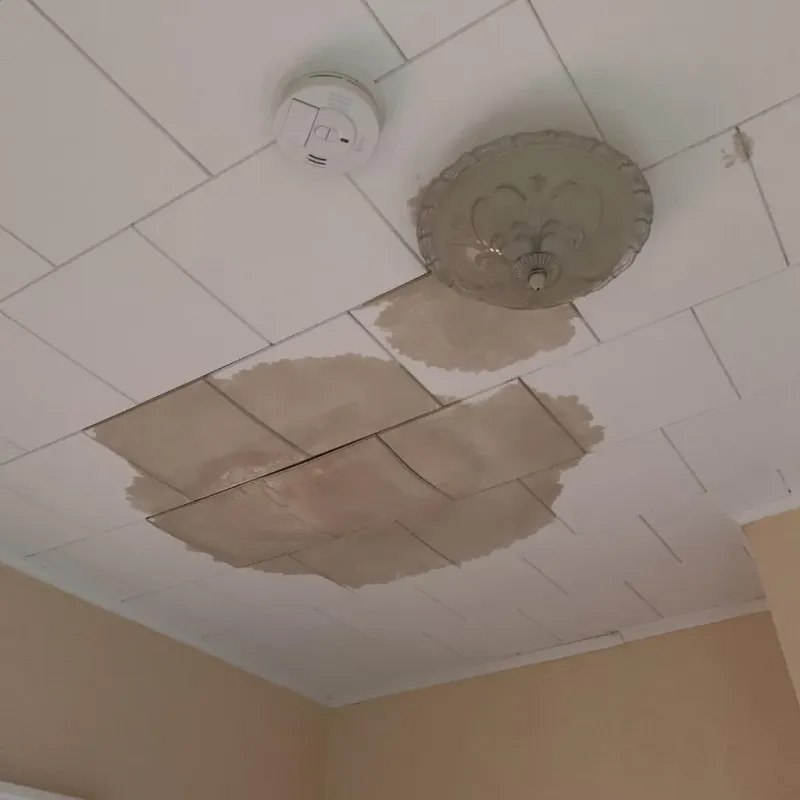 Ceiling Water Damage Repair in San Augustine County, TX