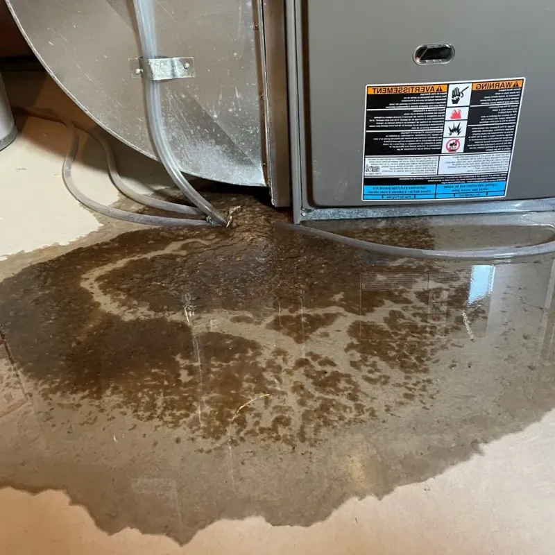 Pipe Burst and Leak Restoration in San Augustine County, TX