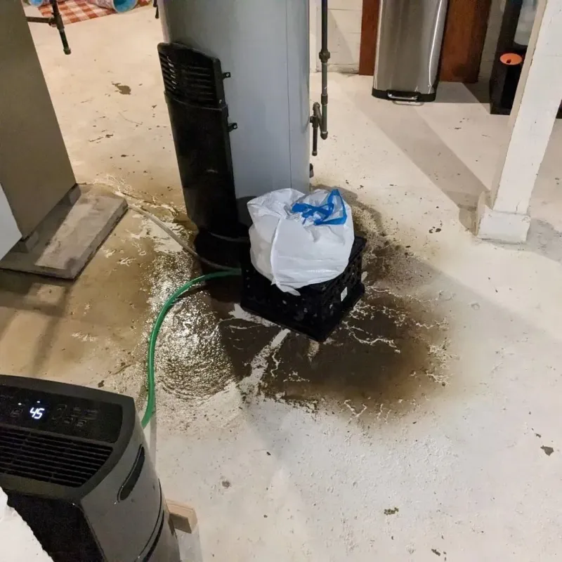 Sewage Backup Cleanup Service in San Augustine County, TX